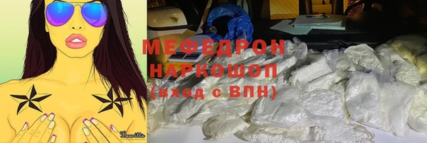 СК Алексин