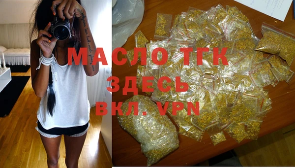 СК Алексин