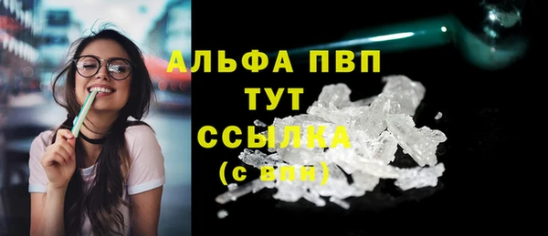 молекула духа Пересвет