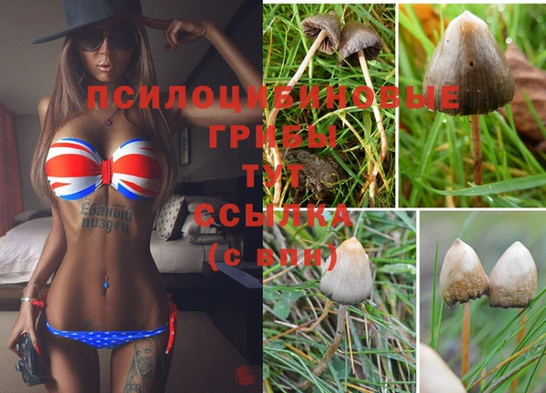 MESCALINE Переславль-Залесский