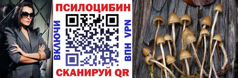 Псилоцибиновые грибы прущие грибы  Бобров 